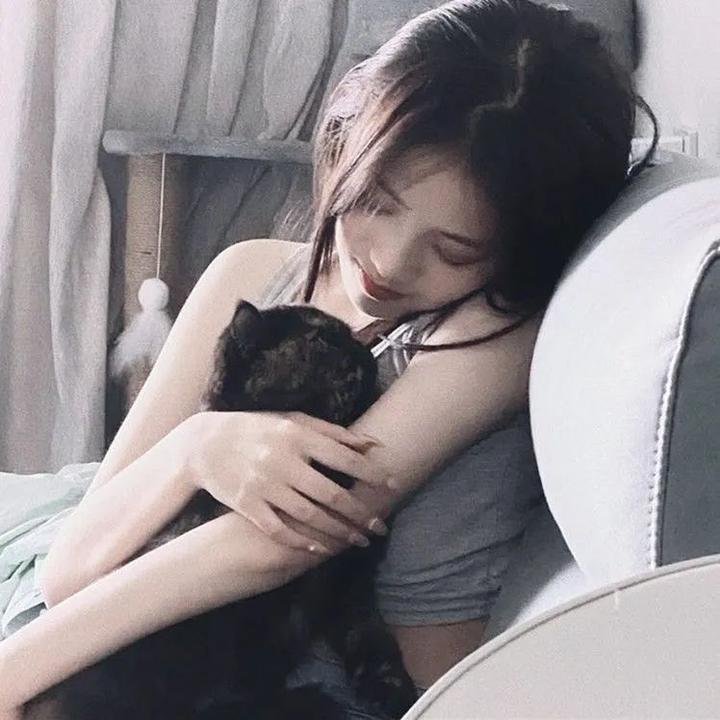 夜梦传说之天狼使者 海报